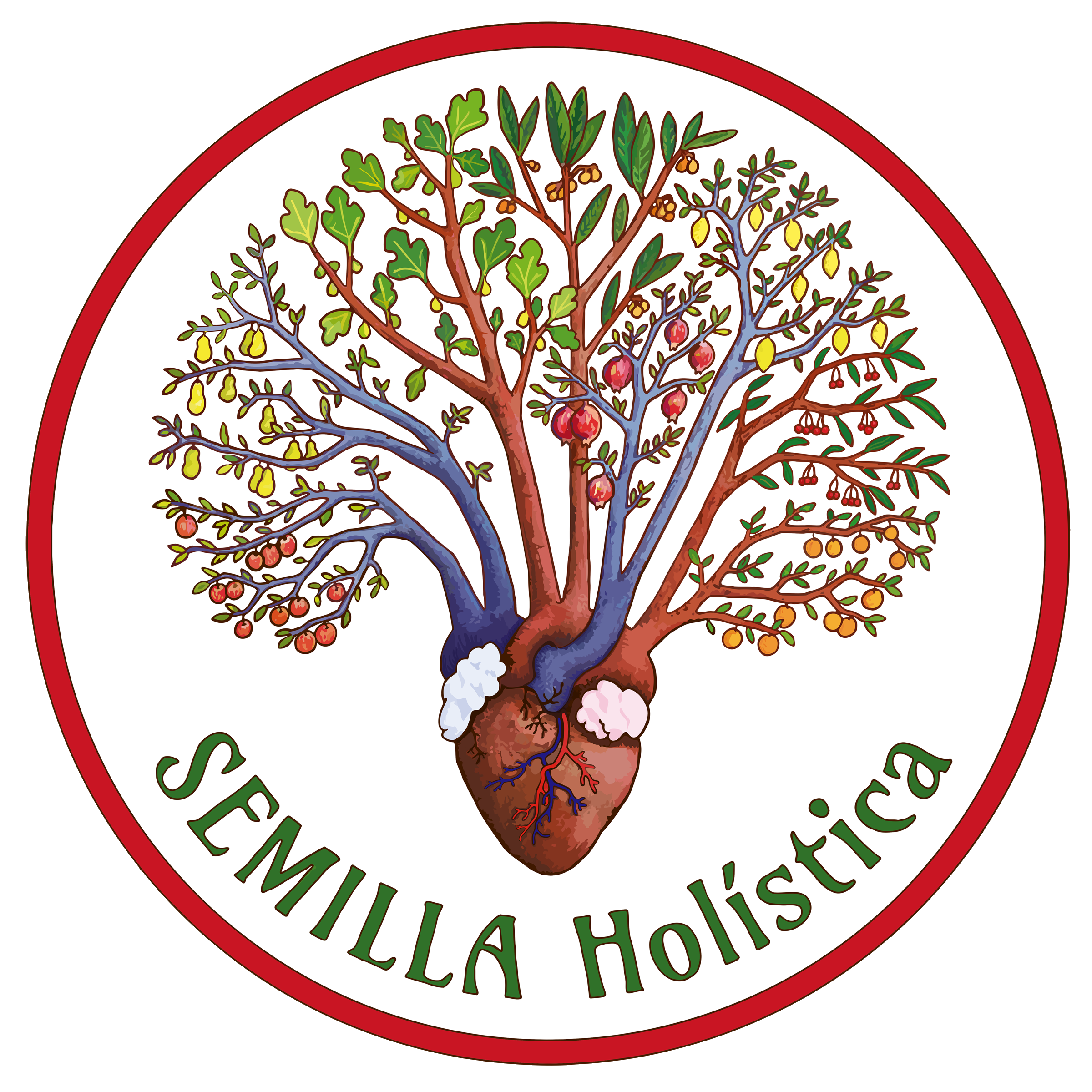 semillaholistica